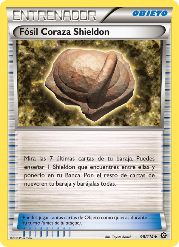 Fósil Coraza Shieldon