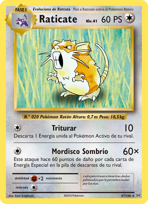 Raticate