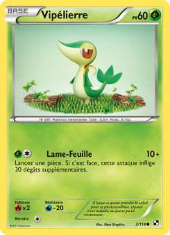 Vipélierre