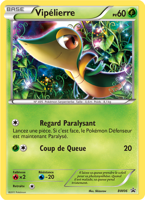 Vipélierre
