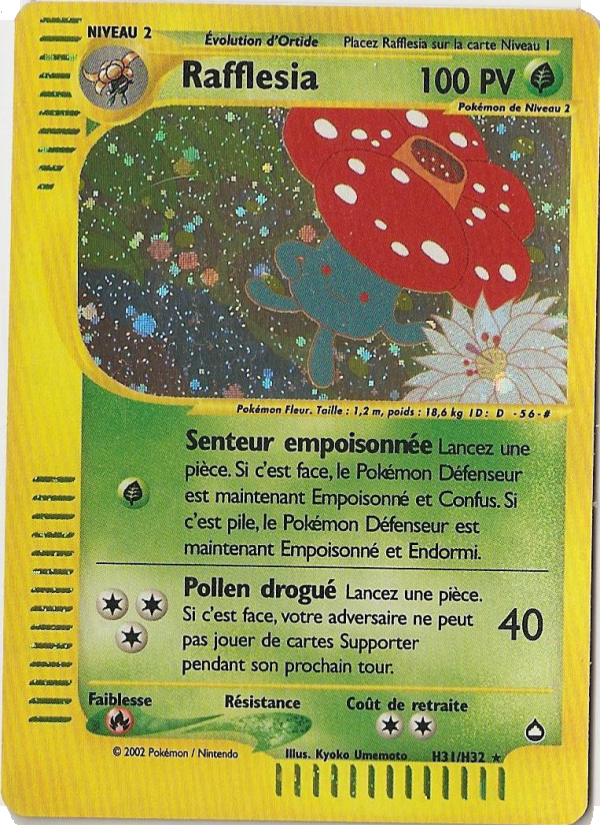 Rafflesia