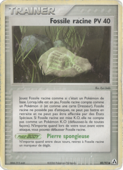 Fossile racine