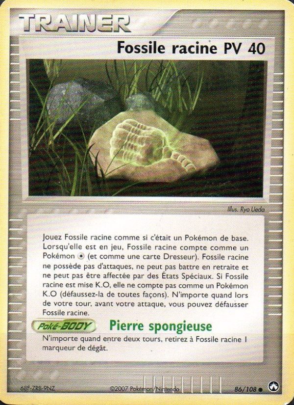Fossile racine