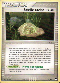 Fossile racine
