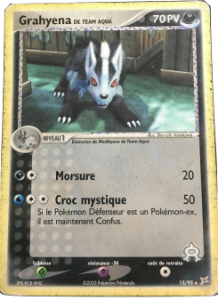 Grahyena de Team Aqua