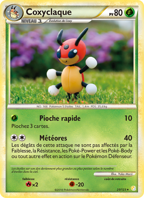 Coxyclaque