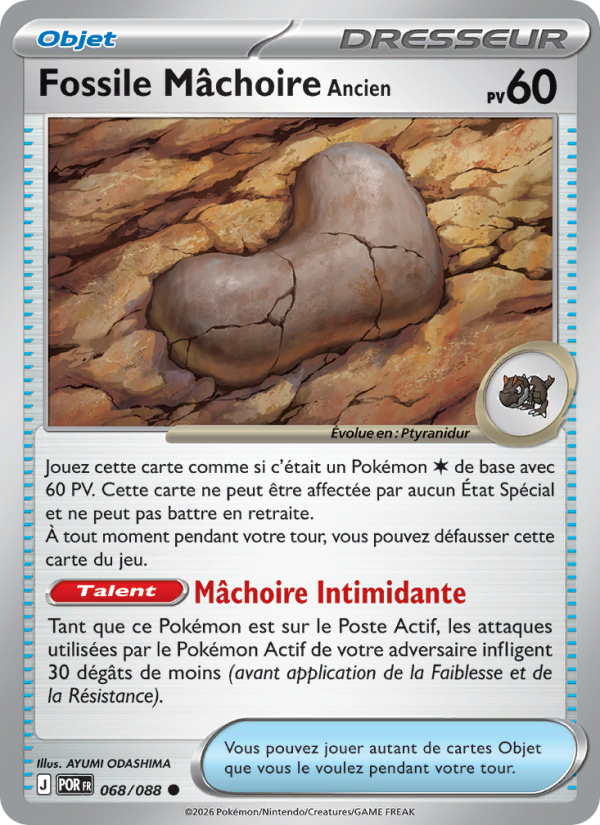 Fossile Mâchoire Ancien