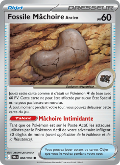 Fossile Mâchoire Ancien