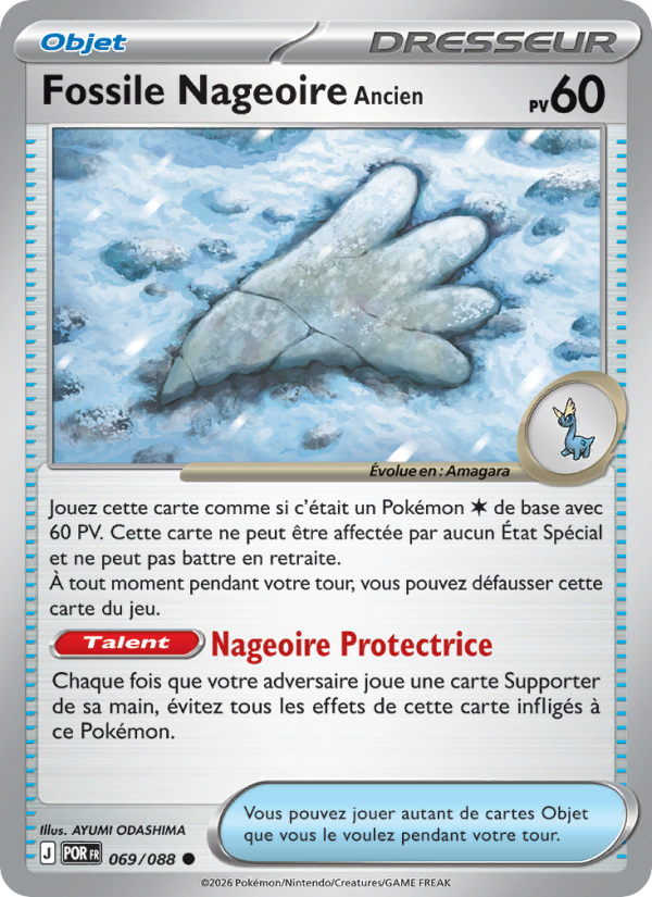 Fossile Nageoire Ancien