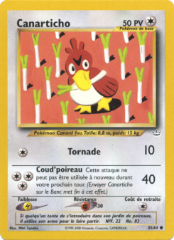 Canarticho