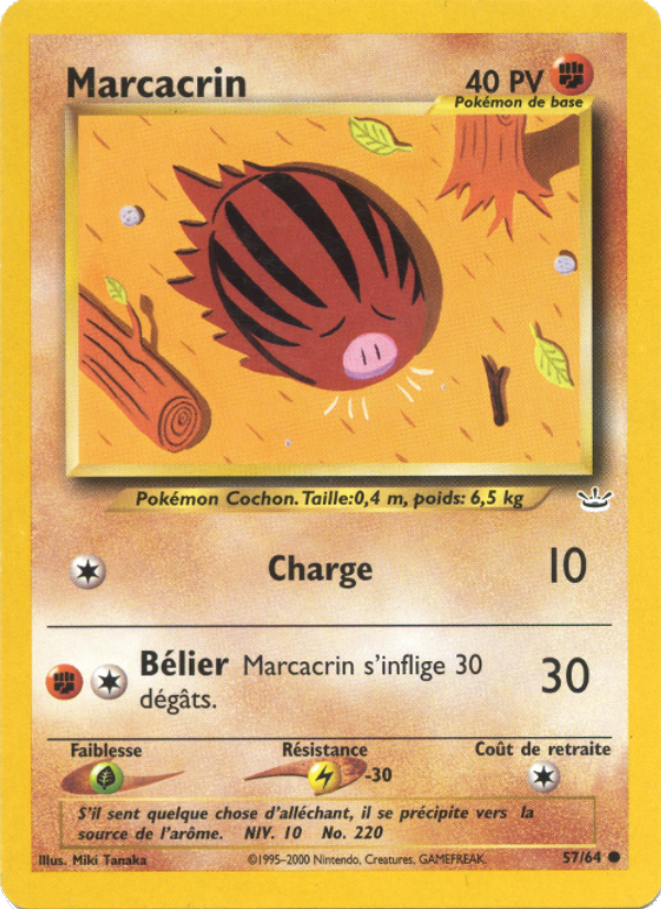 Marcacrin
