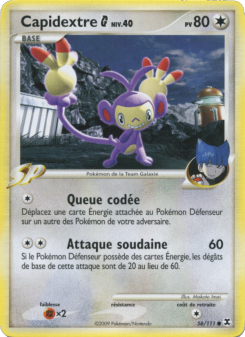 Capidextre  Niv. 40