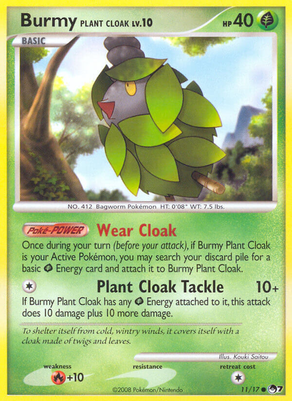 Cheniti Cape Plante