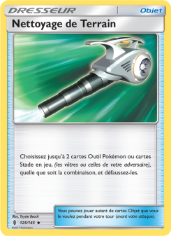 Nettoyage de Terrain