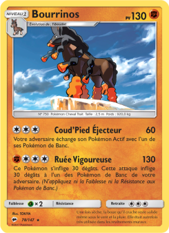 Bourrinos