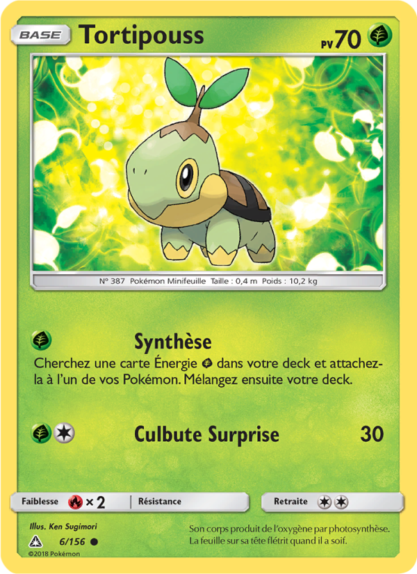 Tortipouss