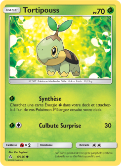 Tortipouss