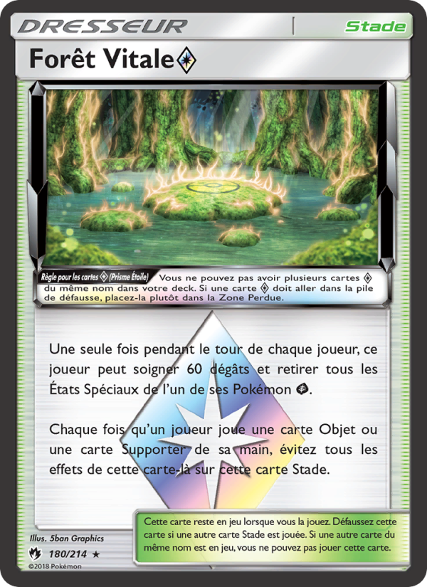 Forêt Vitale ◇