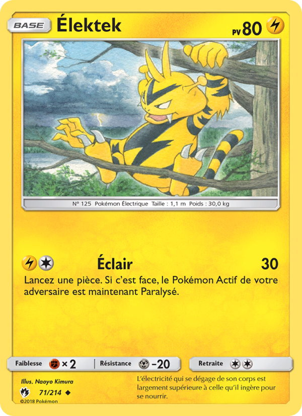 Élektek