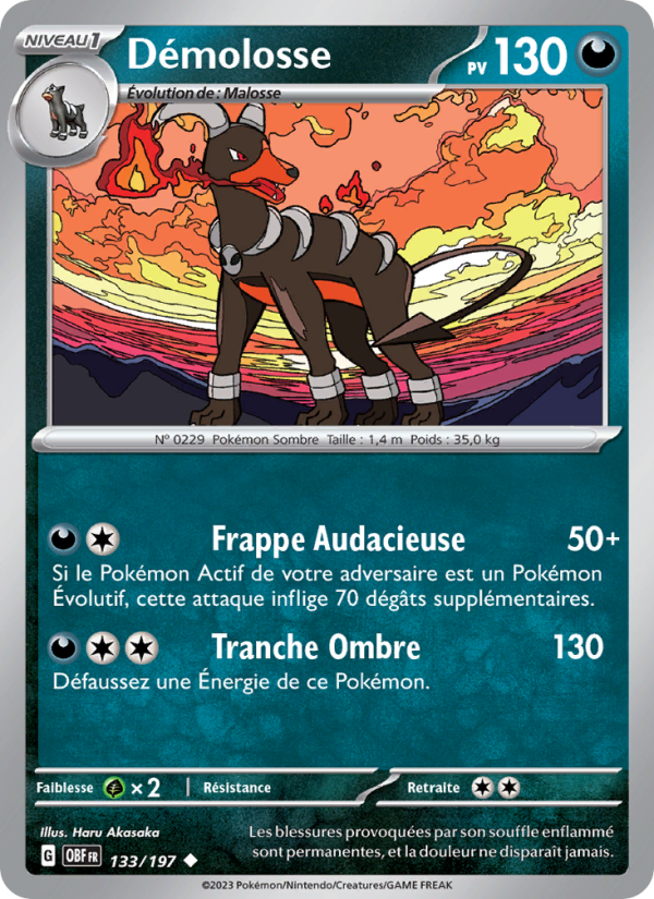 Démolosse
