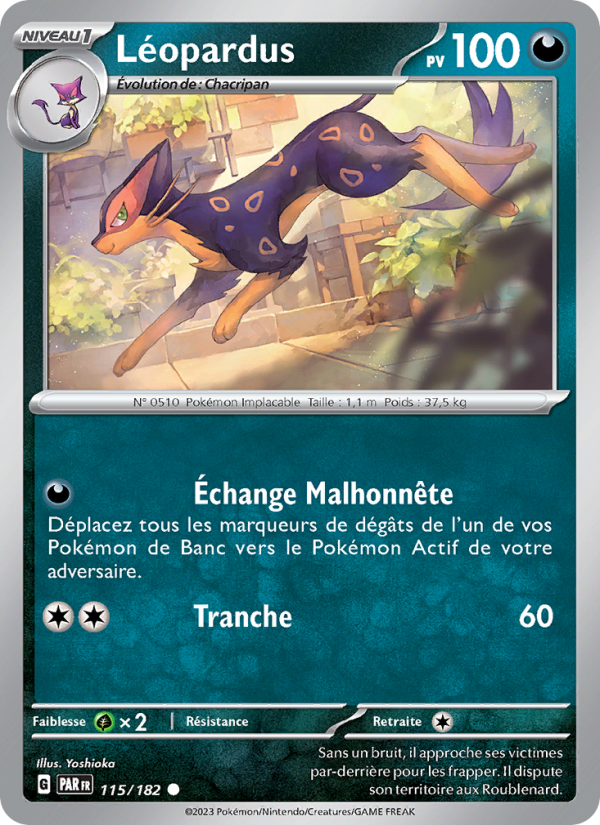 Léopardus