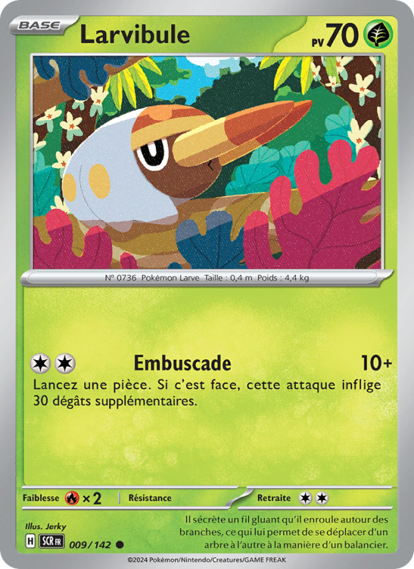Larvibule from Couronne Stellaire