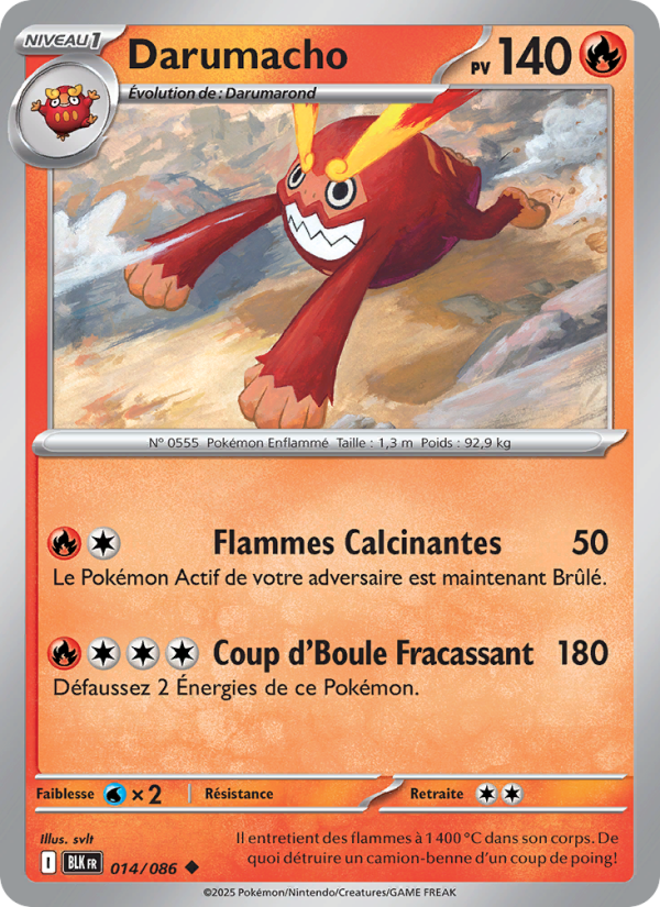 Darumacho