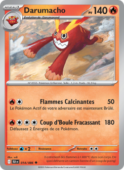 Darumacho