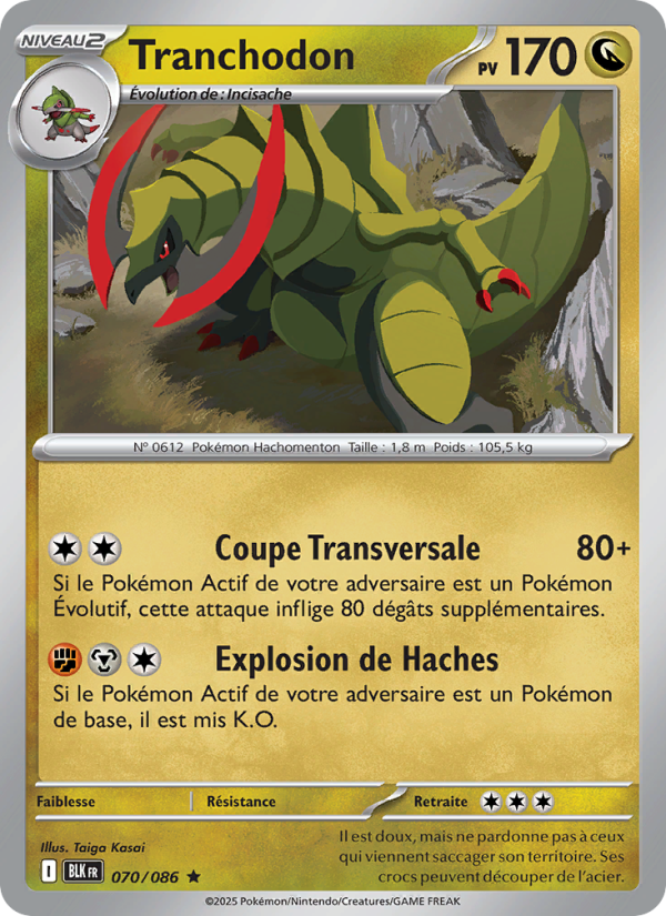 Tranchodon