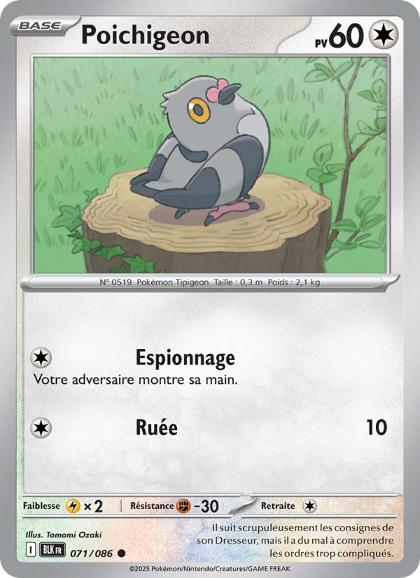 Poichigeon