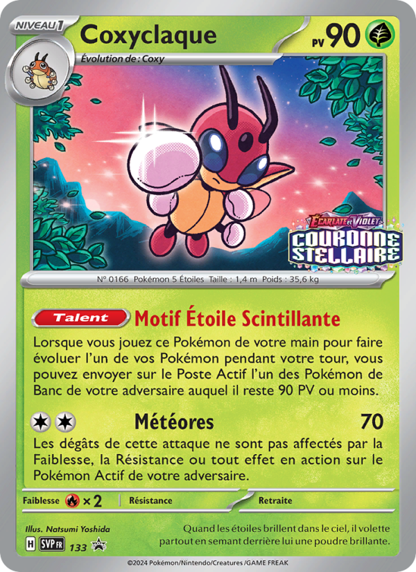 Coxyclaque