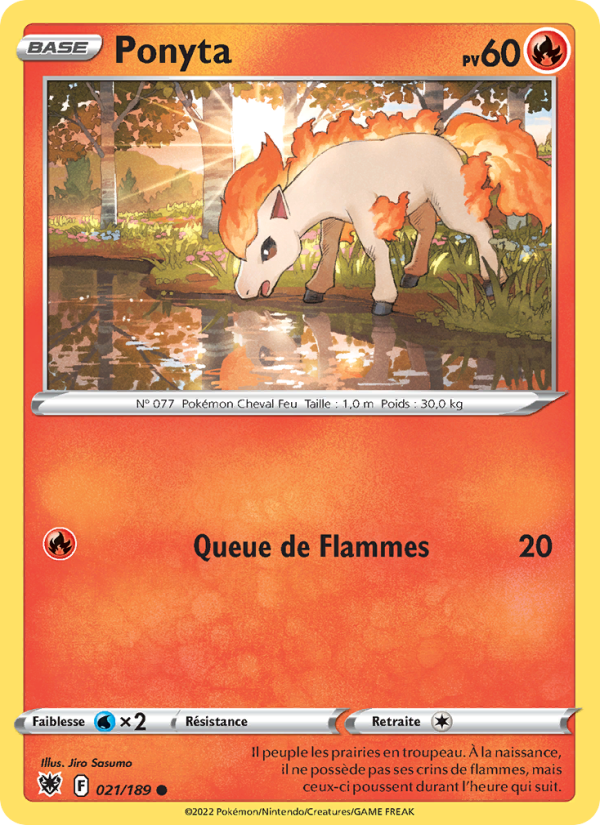 Ponyta