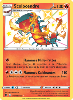 Scolocendre from Destinées Radieuses