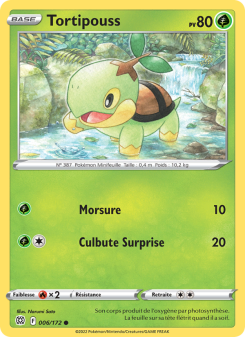 Tortipouss