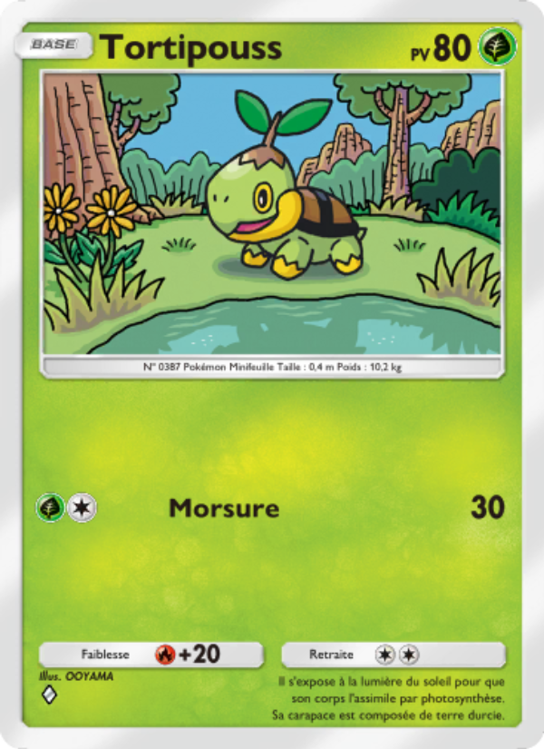 Tortipouss