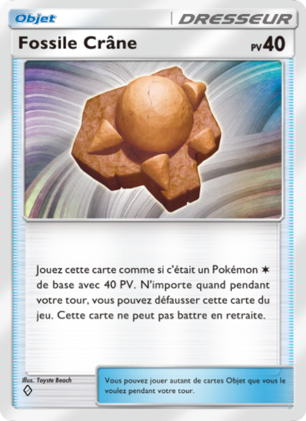 Fossile Crâne