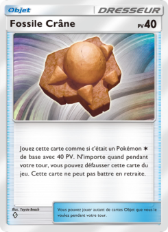 Fossile Crâne