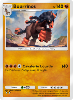 Bourrinos