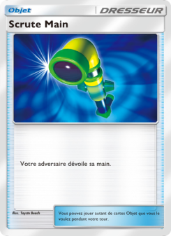 Scrute Main