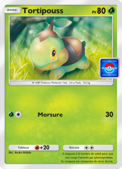 Tortipouss