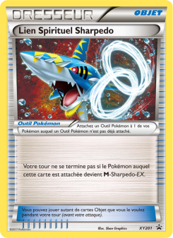 Lien Spirituel Sharpedo