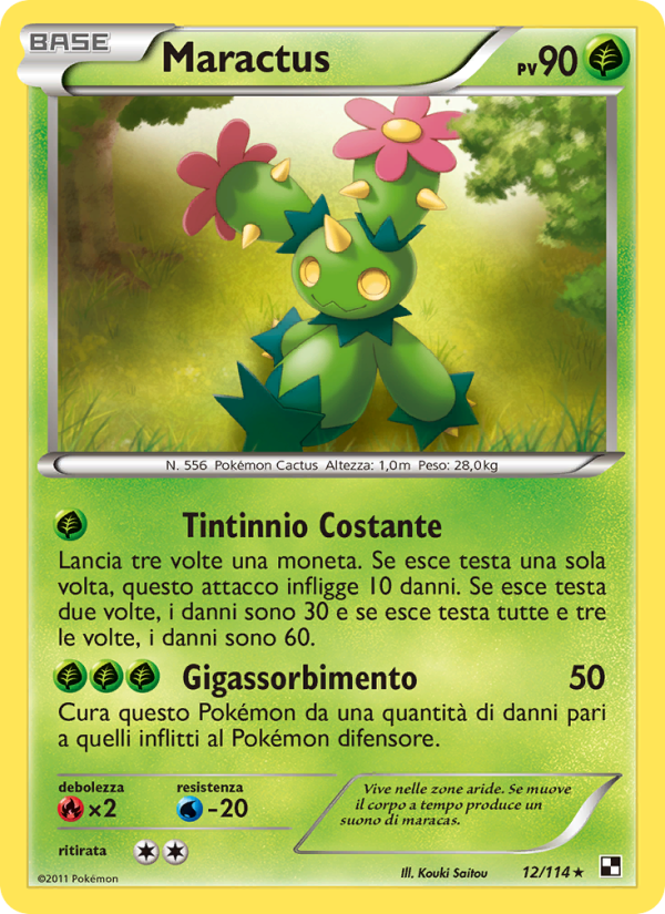 Maractus
