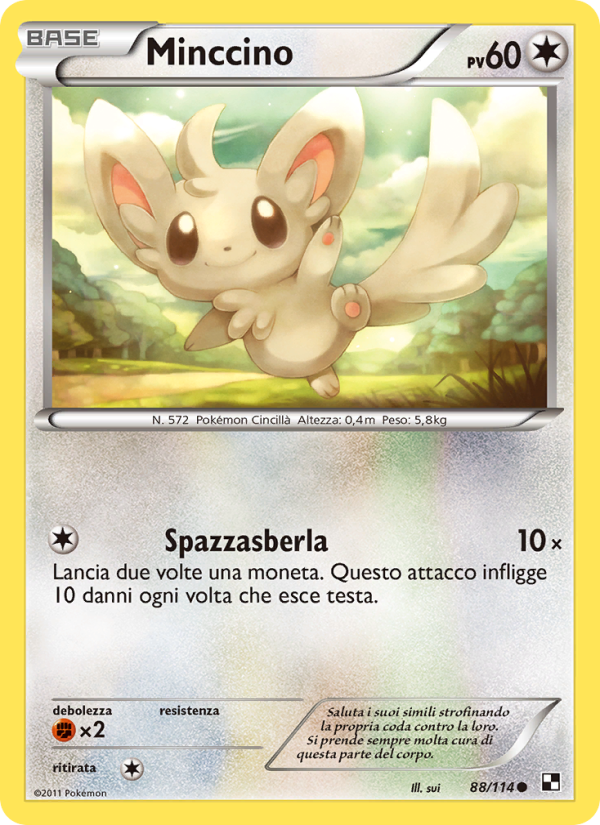 Minccino from Nero e Bianco