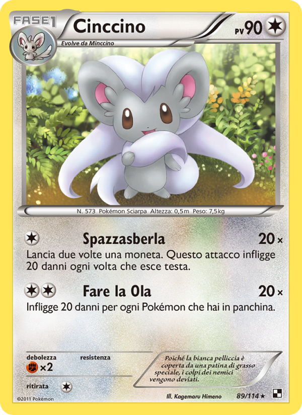 Cinccino