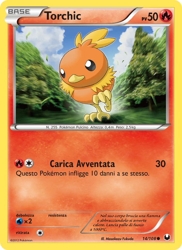 Torchic