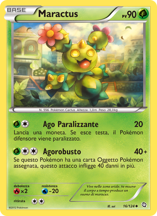 Maractus
