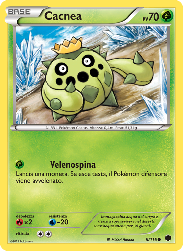 Cacnea