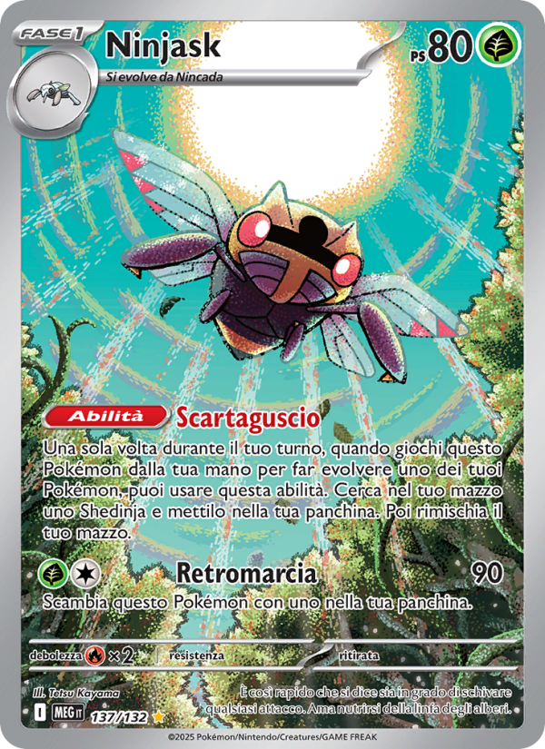Ninjask
