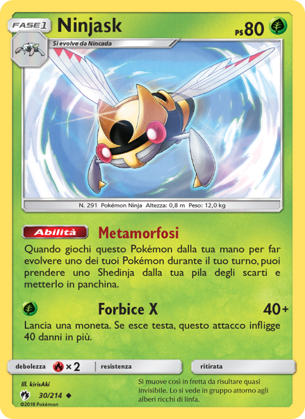 Ninjask