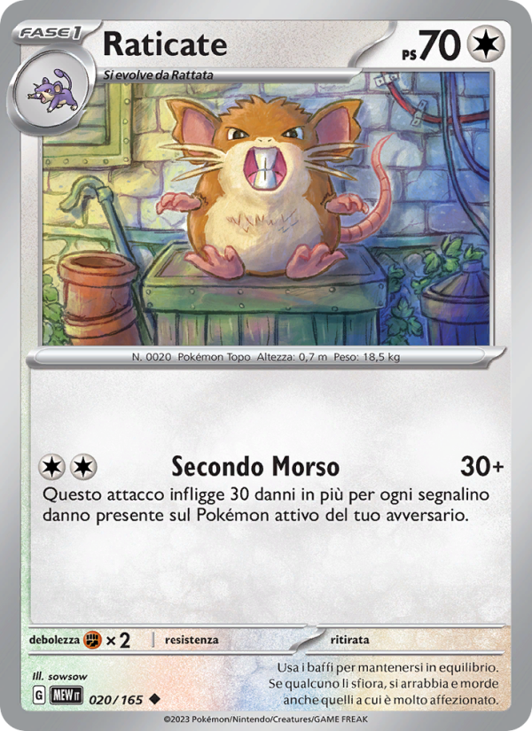 Raticate